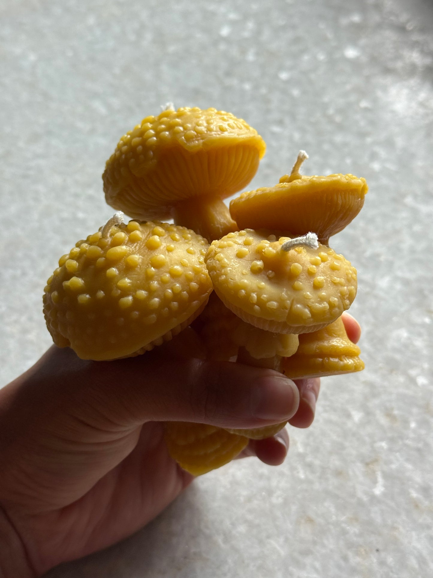 Beeswax Candle :: Amanita Mushroom, Large