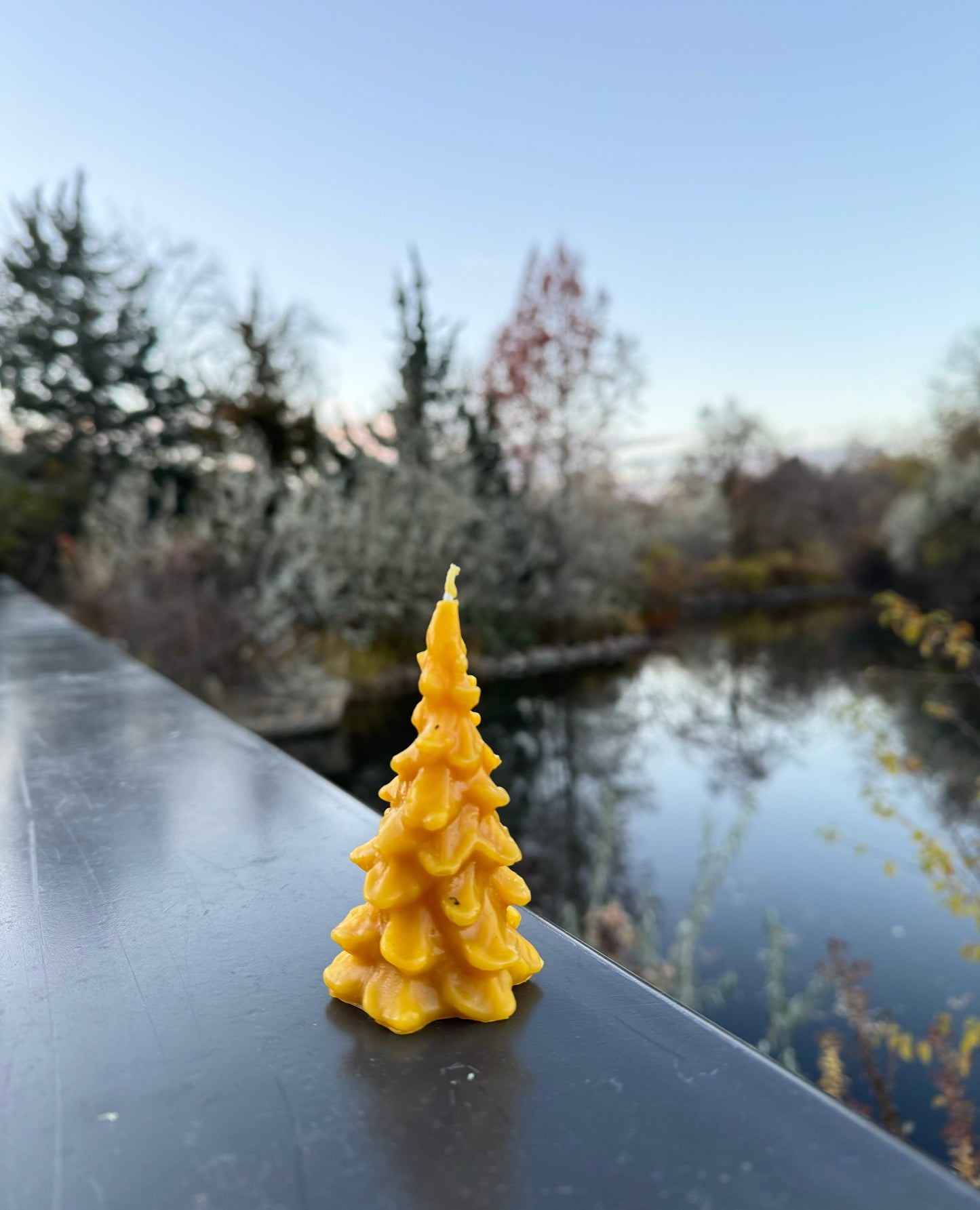Beeswax Candle :: Evergreen Tree, Mini