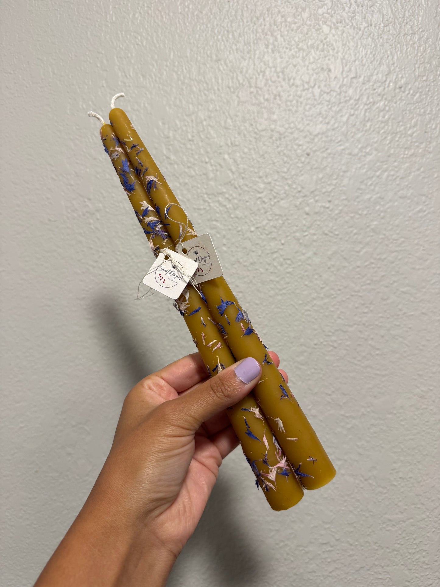 Beeswax Candle Bundle :: Taper 10”, Dried Blue Cornflower