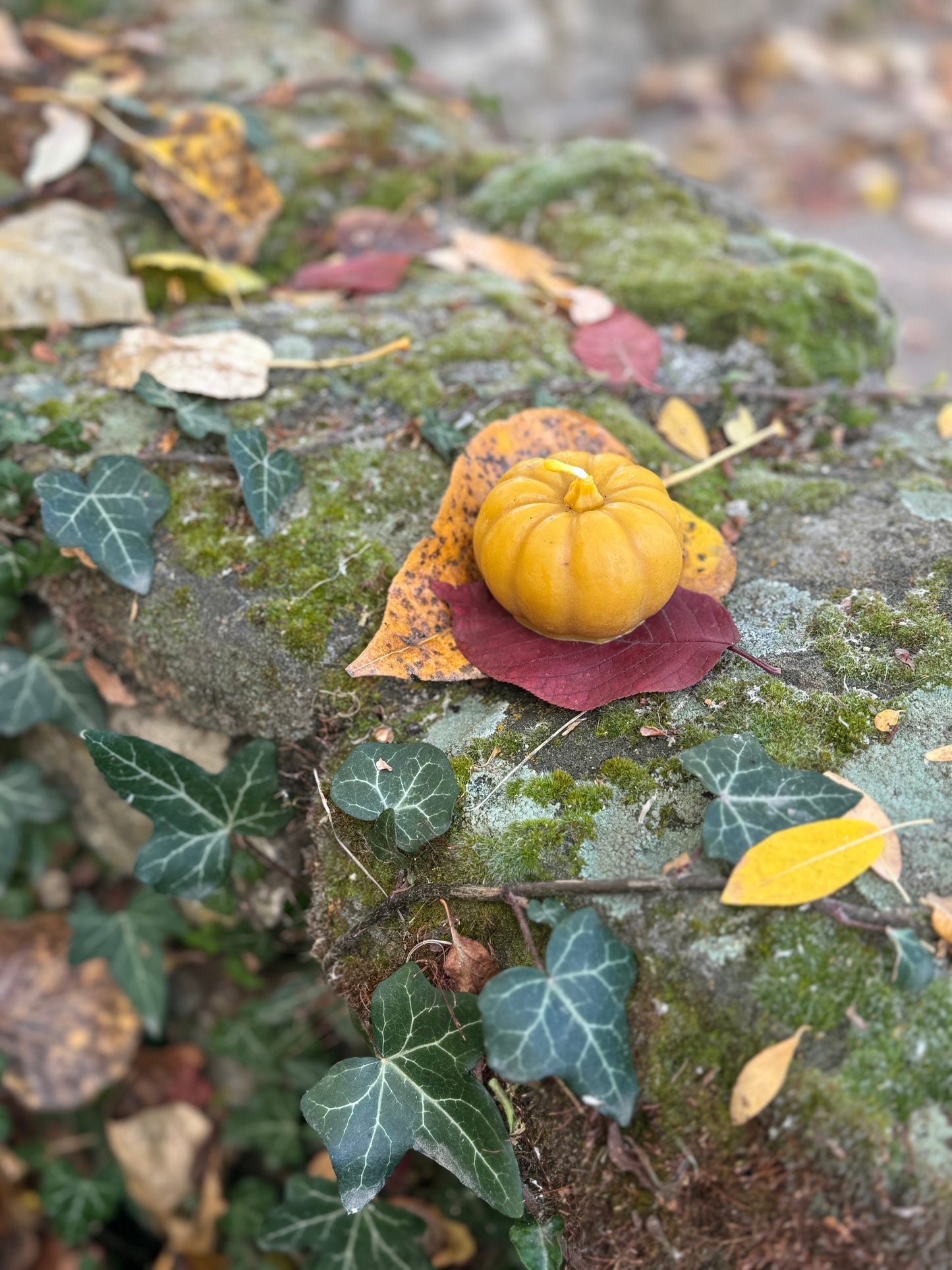 Beeswax Candle :: Pumpkin