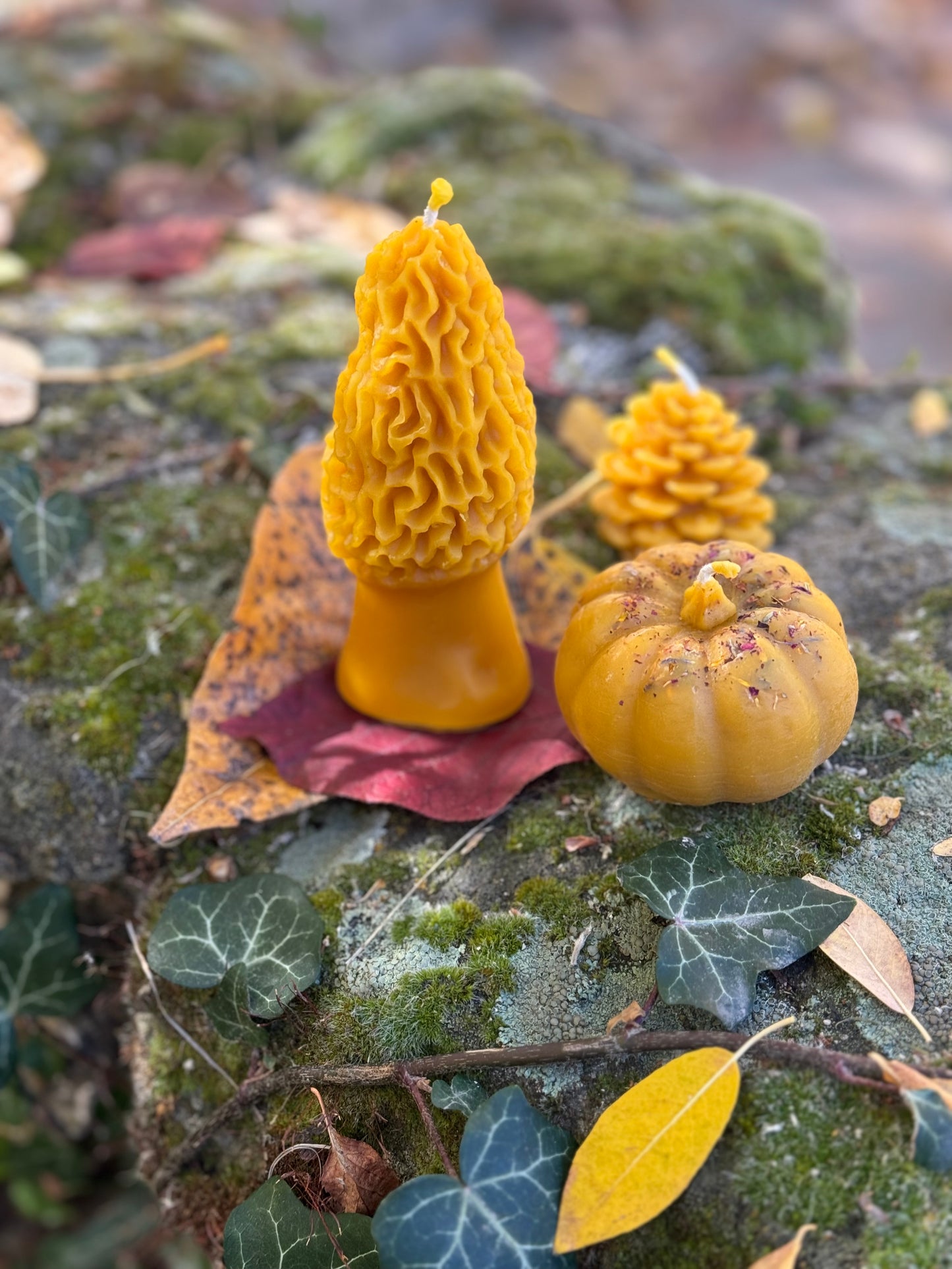 Beeswax Candle :: Morel Mushroom, Large