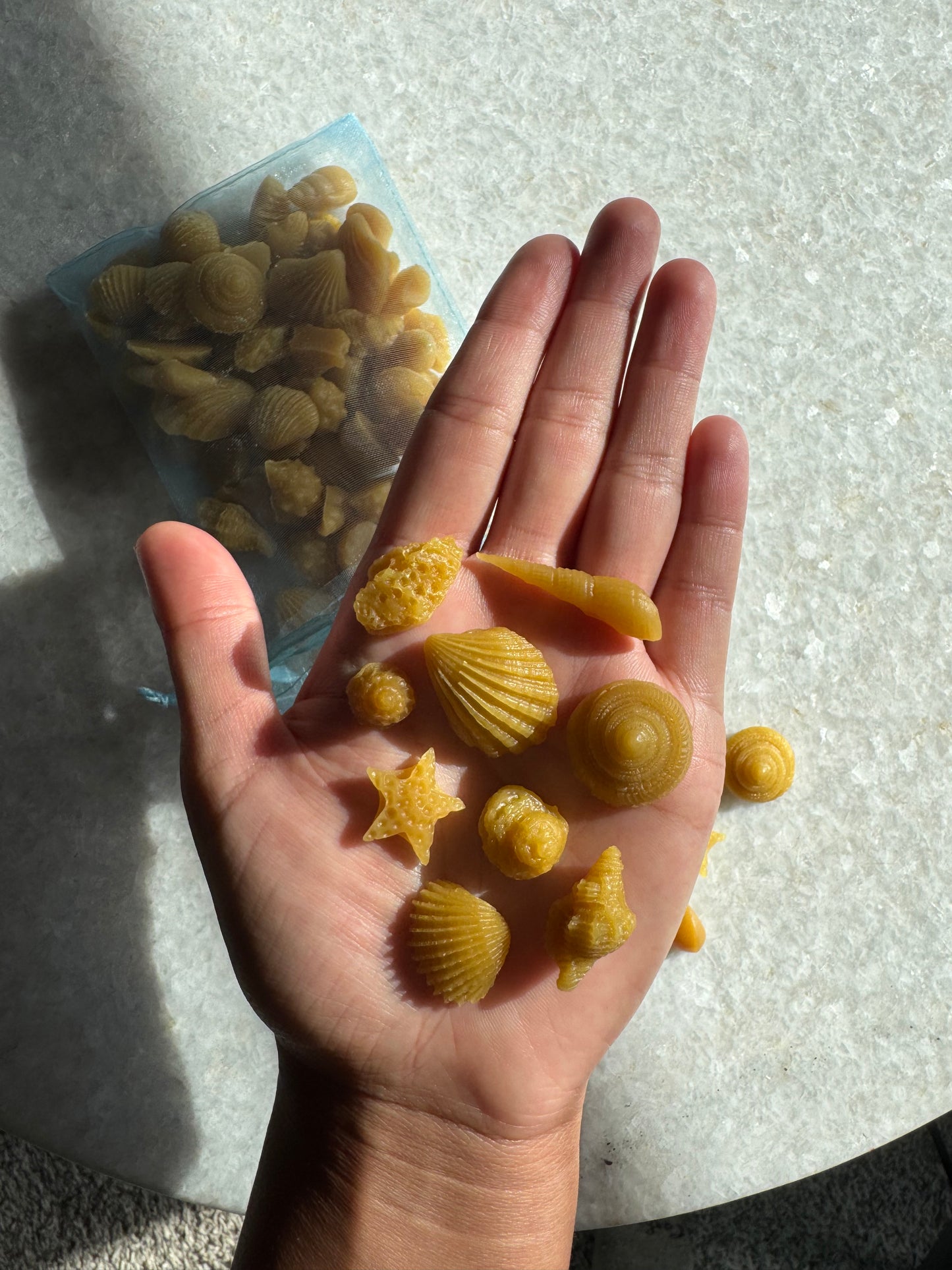 Beeswax Melts :: Seashells