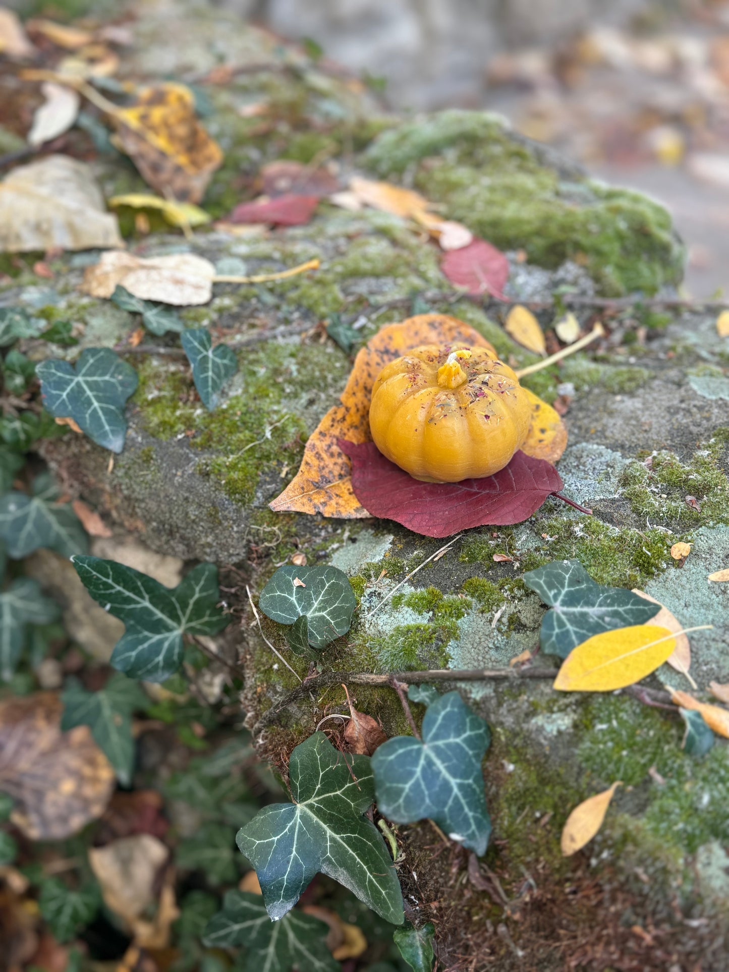 Beeswax Candle :: Pumpkin, Dried Flowers