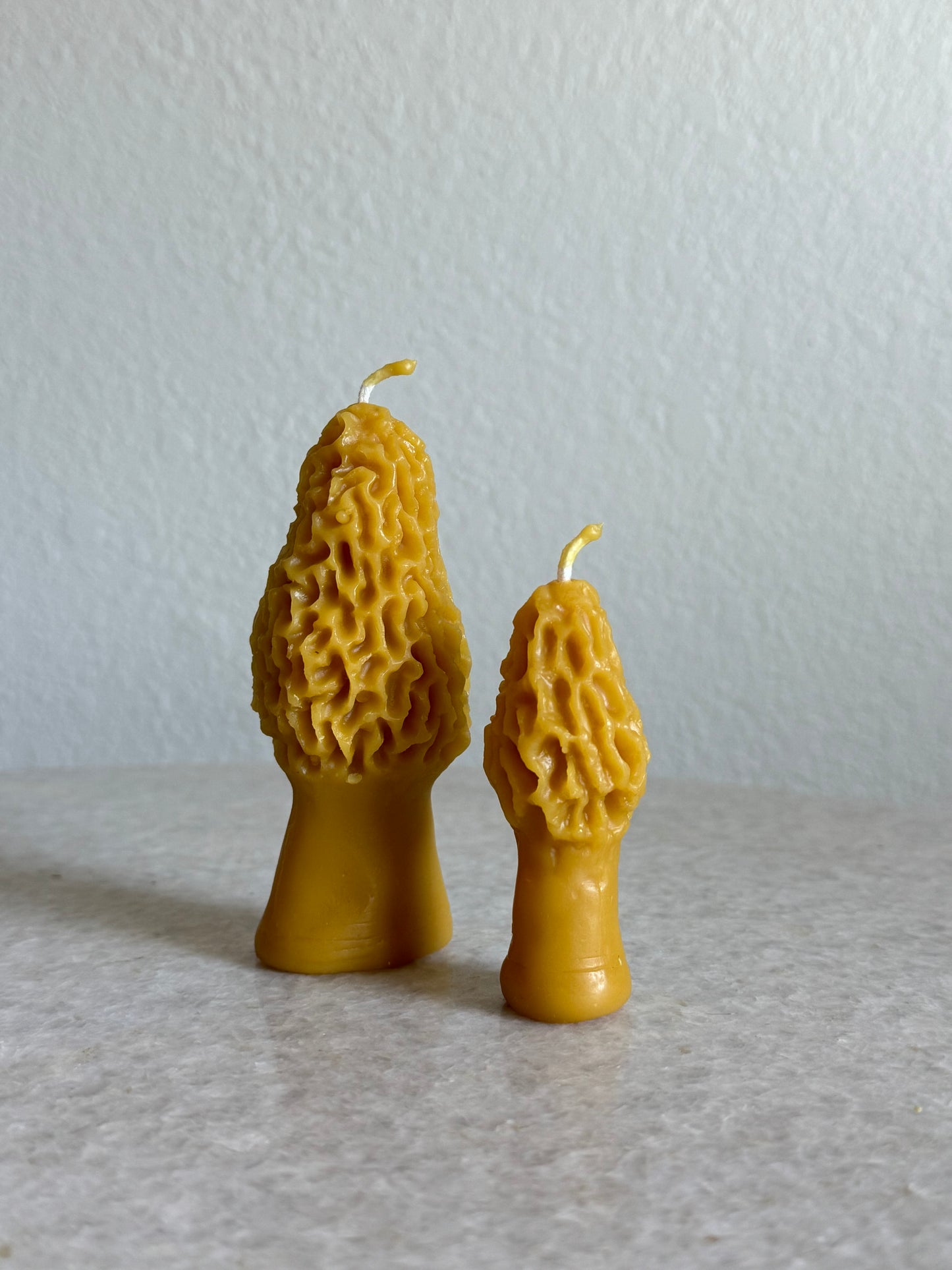 Beeswax Candle Bundle :: Large & Mini Morel Mushrooms
