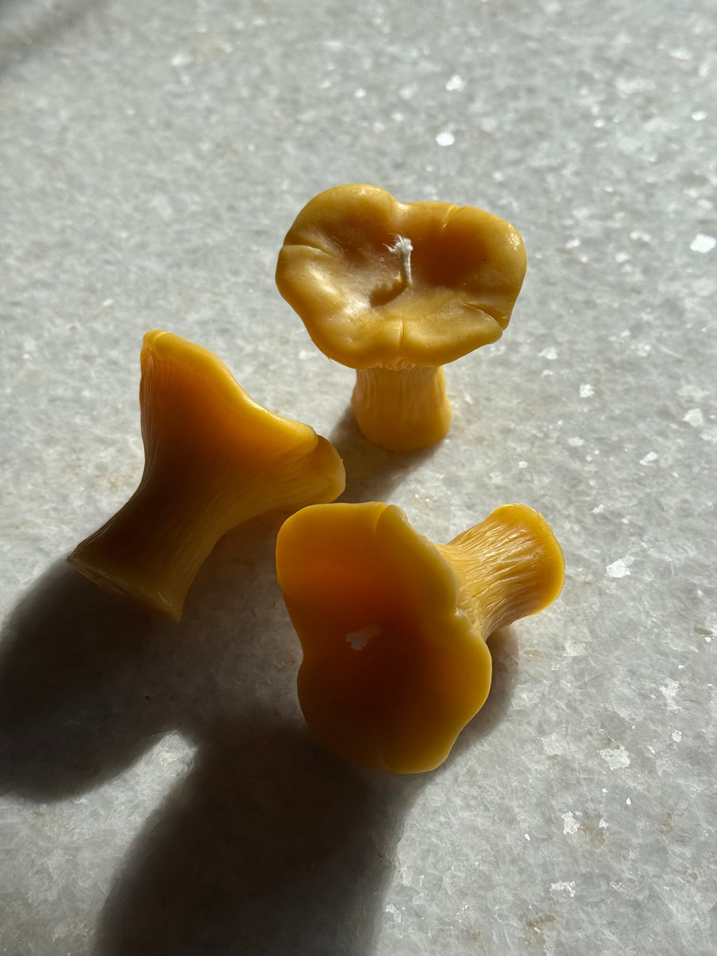 Beeswax Candle :: Chanterelle Mushroom, Mini