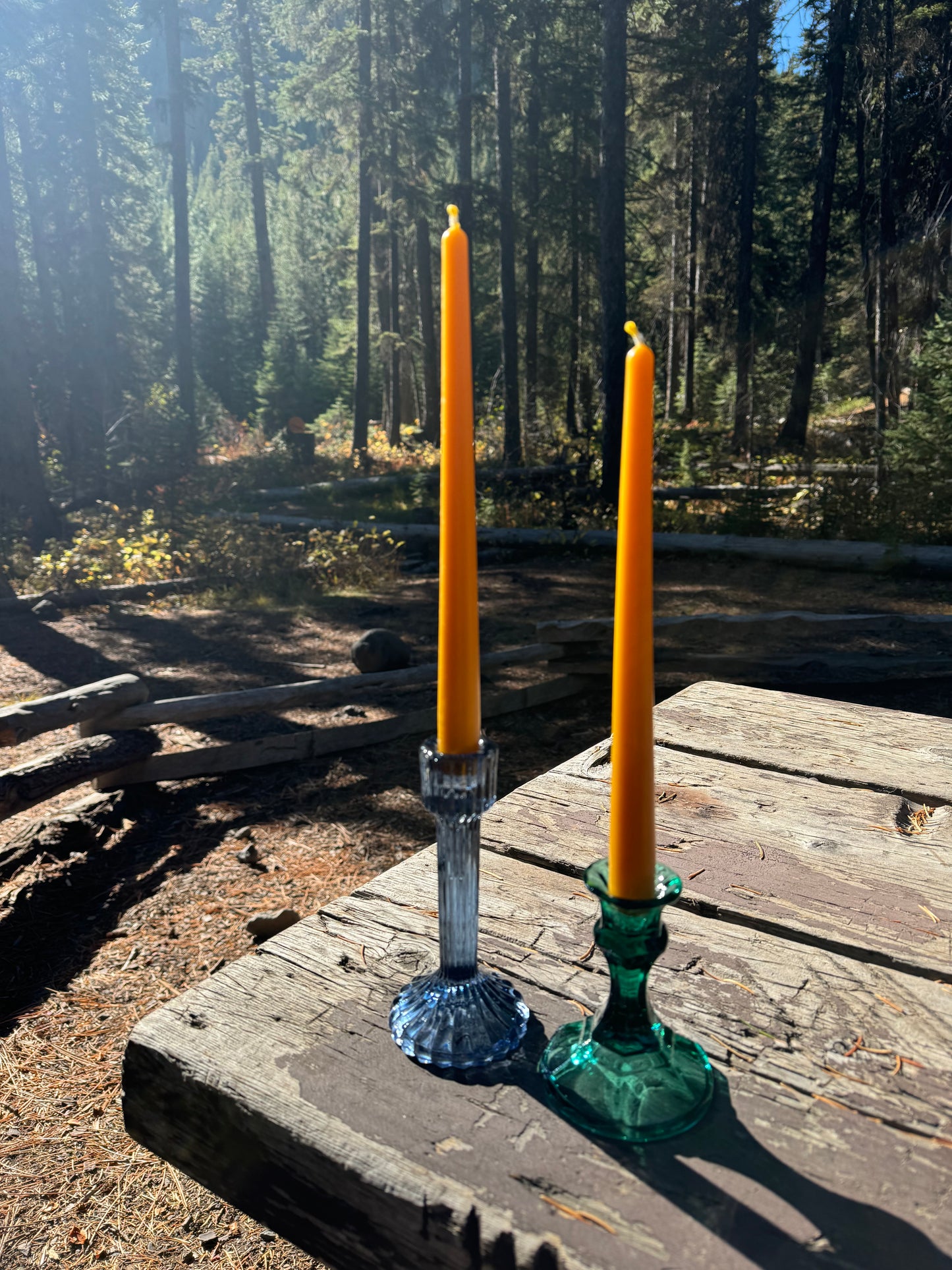 Beeswax Candle Bundle :: Taper 10"
