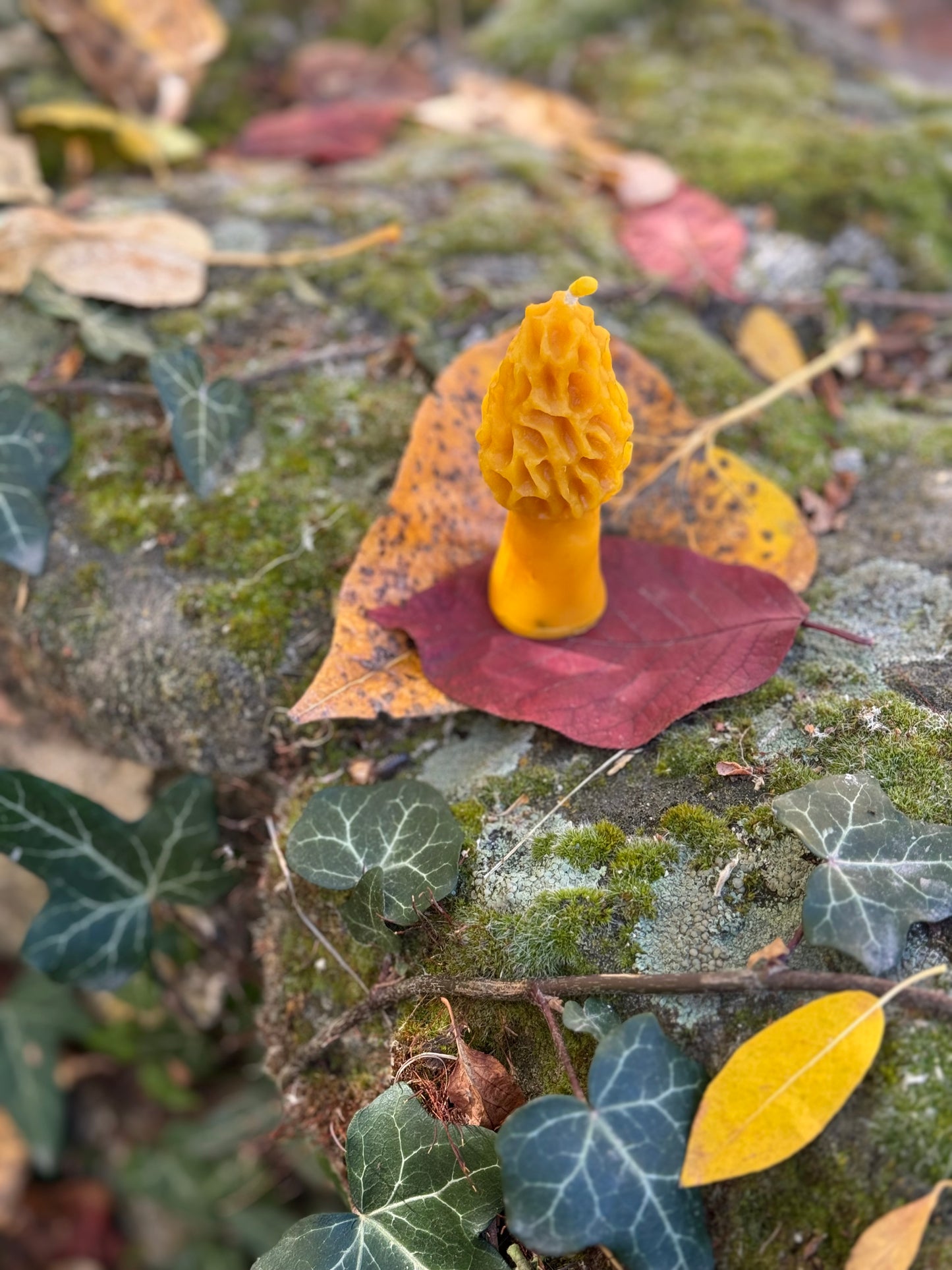 Beeswax Candle :: Morel Mushroom, Mini