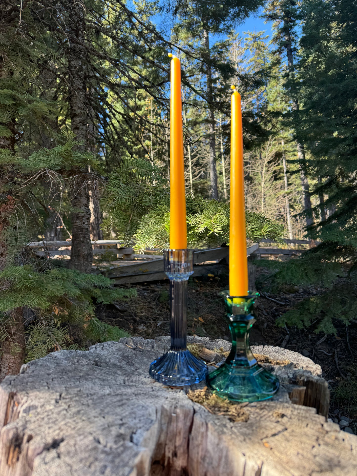 Beeswax Candle Bundle :: Taper 10"