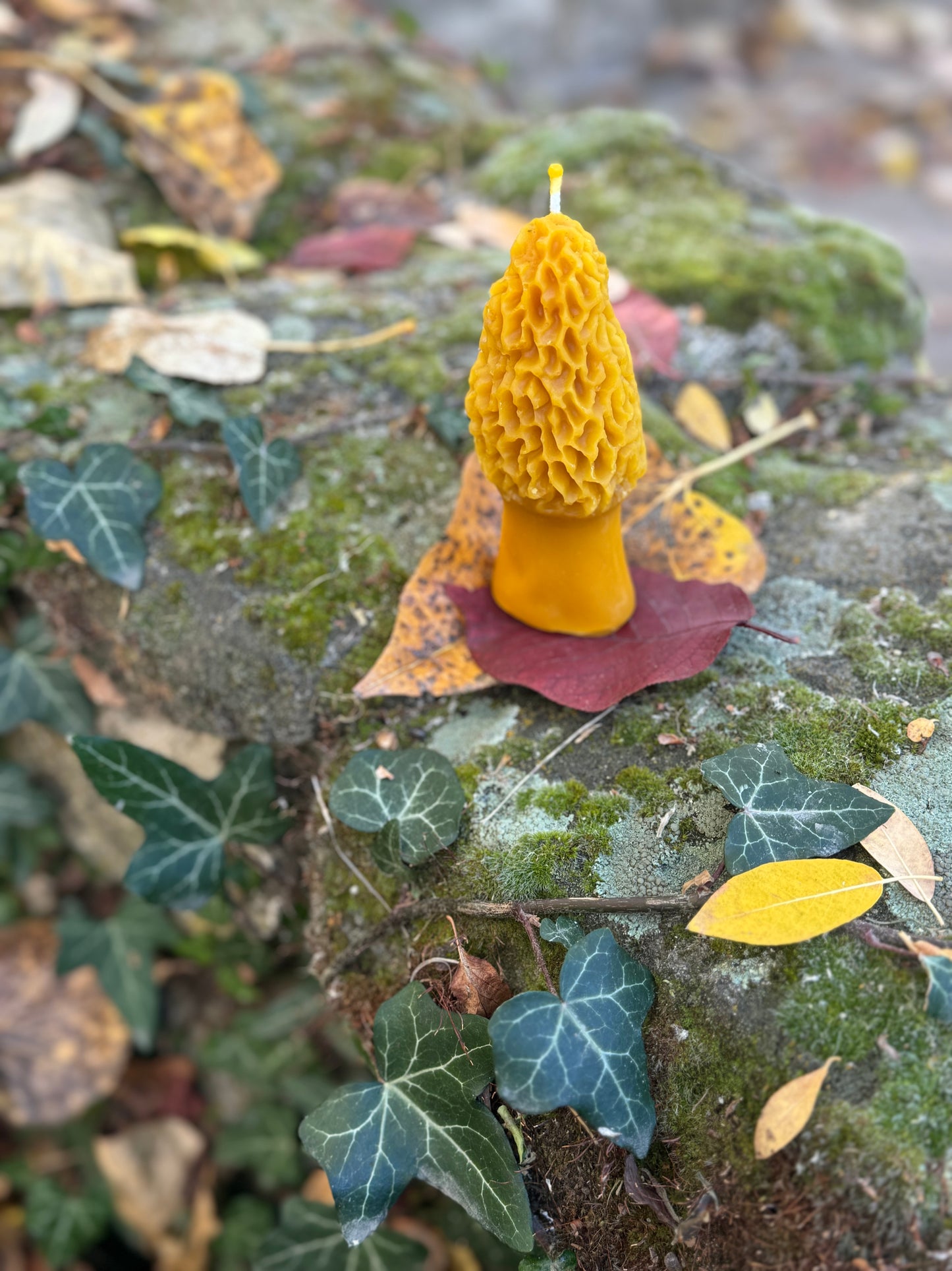 Beeswax Candle :: Morel Mushroom, Large