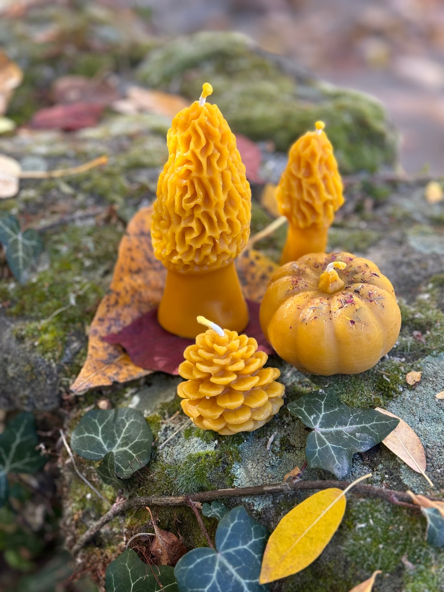 Beeswax Candle :: Pumpkin, Dried Flowers