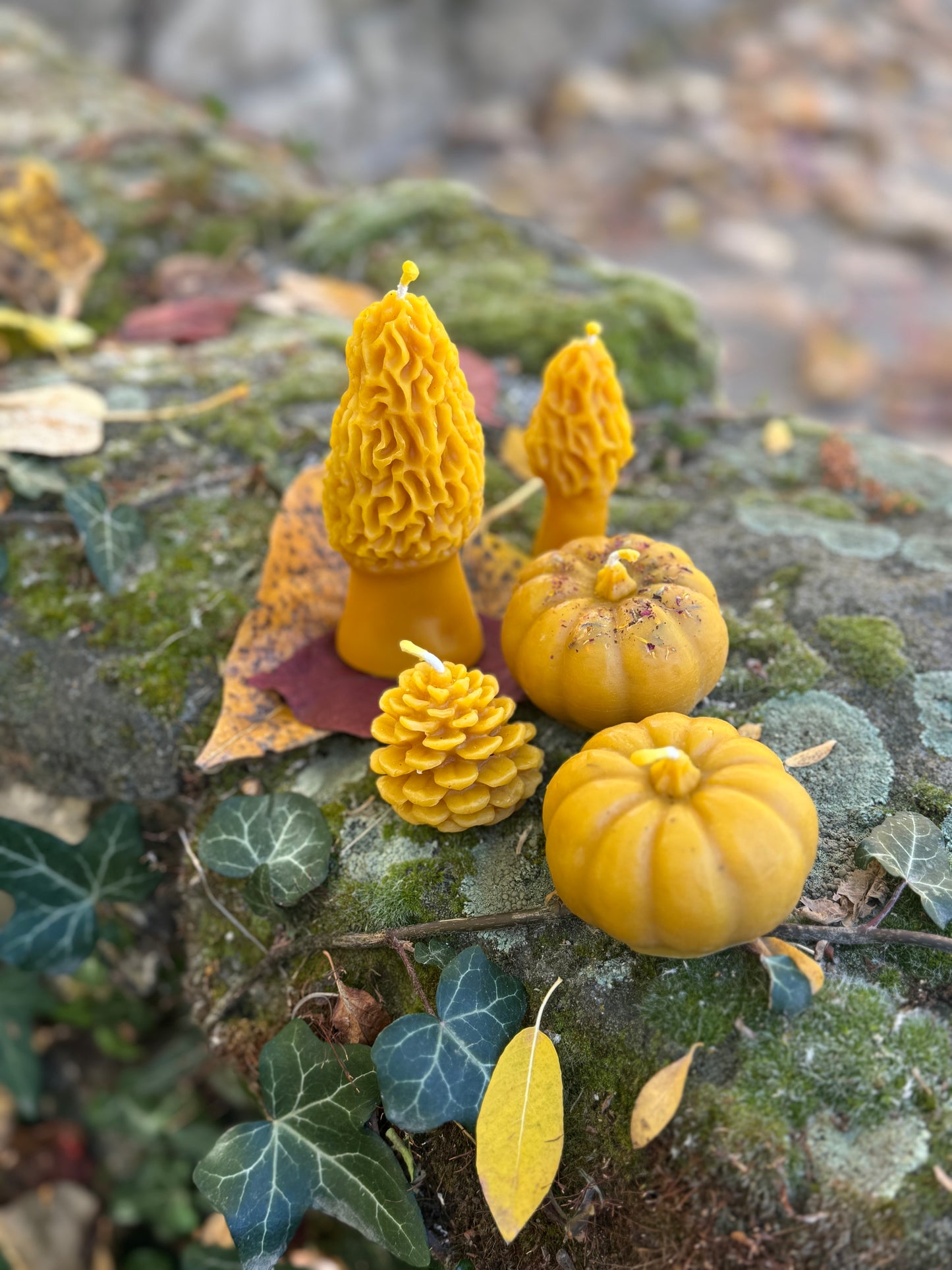 Beeswax Candle :: Morel Mushroom, Mini