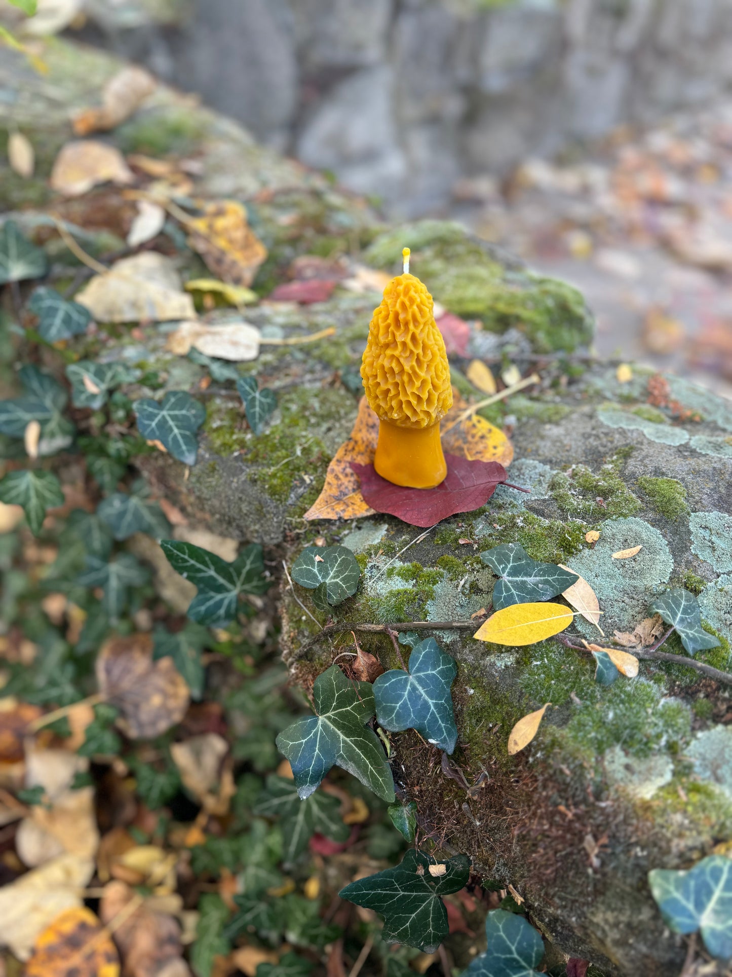 Beeswax Candle :: Morel Mushroom, Large