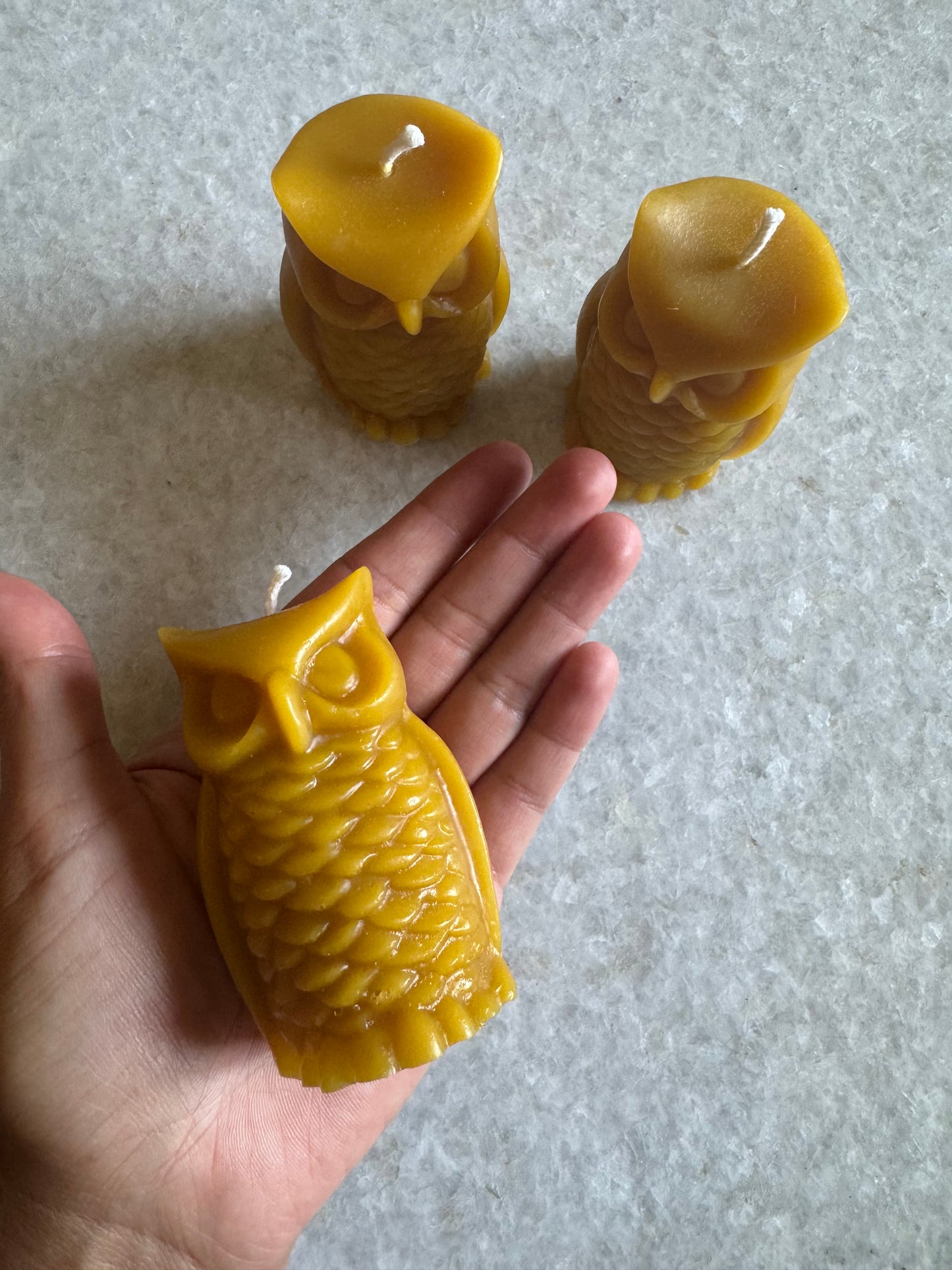 Beeswax Candle :: Owl