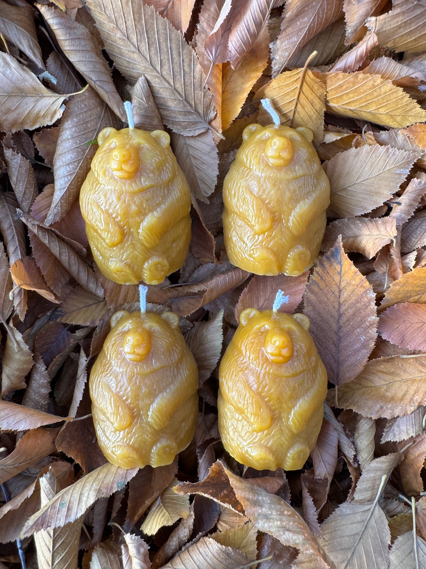 Beeswax Candle Bundle :: Bear Votives