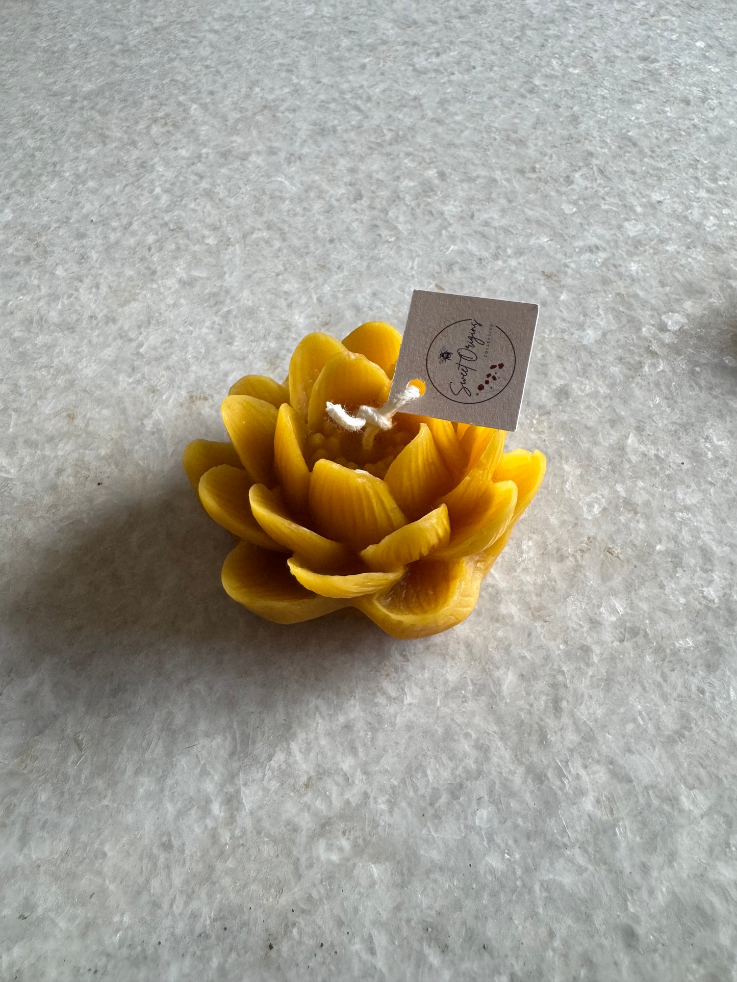Beeswax Candle :: Lotus Flower