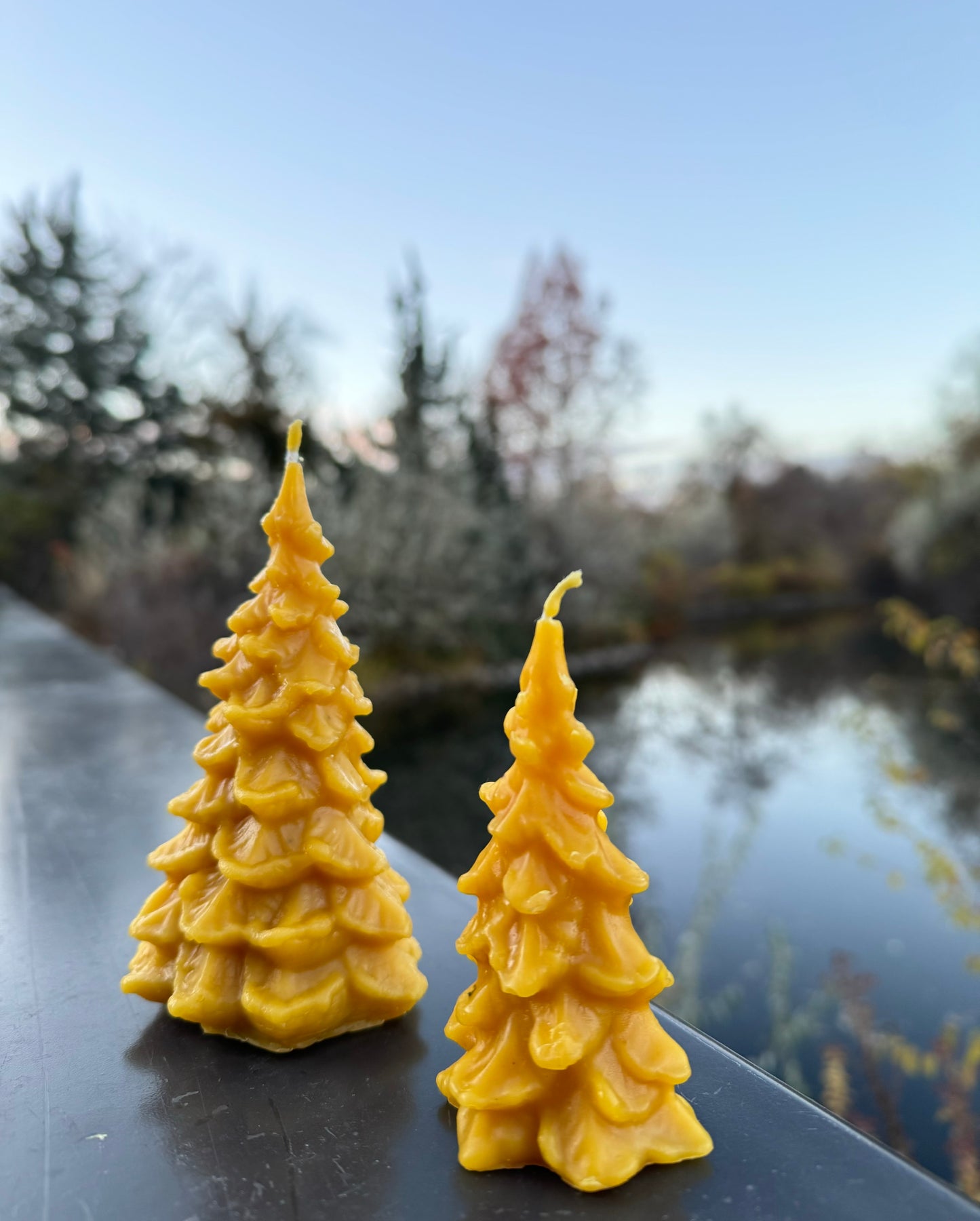 Beeswax Candle Bundle :: Large & Mini Evergreen Tree