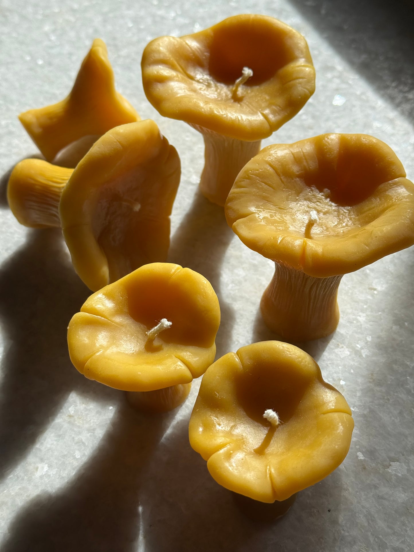 Beeswax Candle :: Chanterelle Mushroom, Mini
