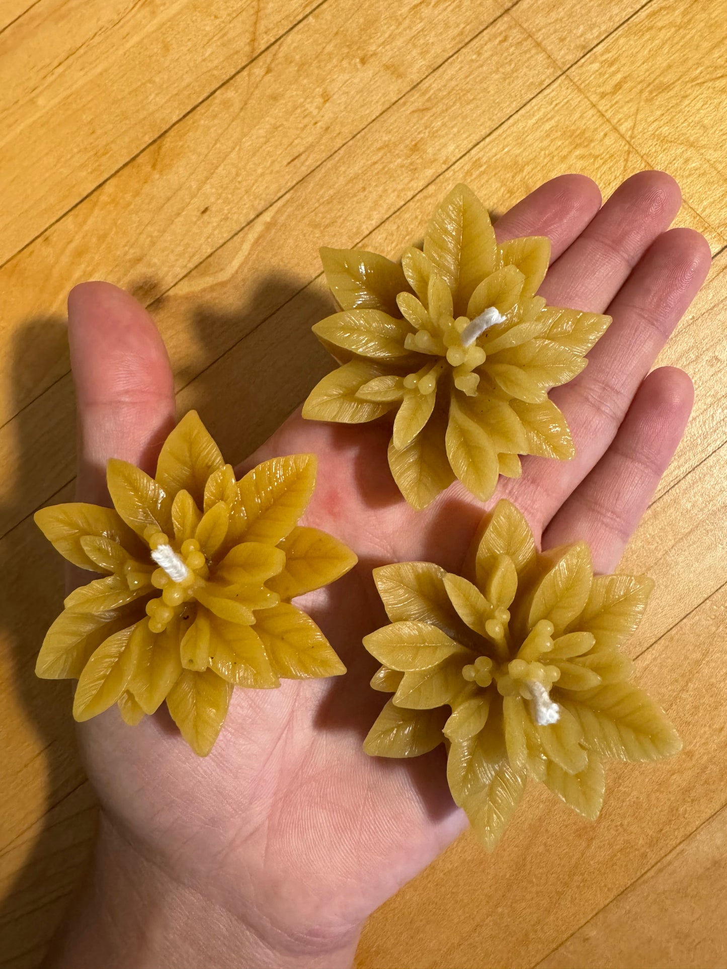 Beeswax Candle Bundle :: Poinsettia Tea Light