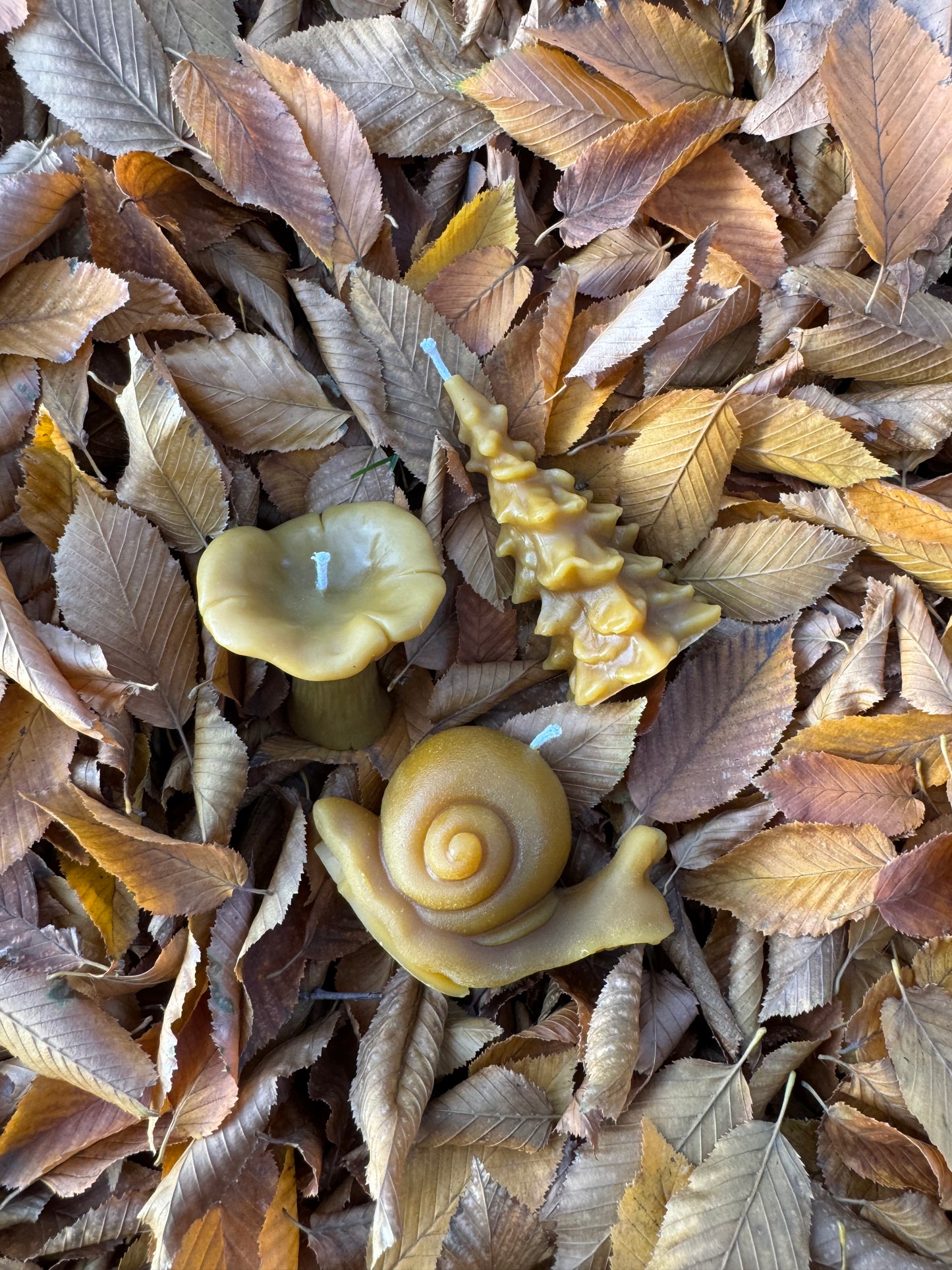 Beeswax Candle Bundle :: Nature Lover