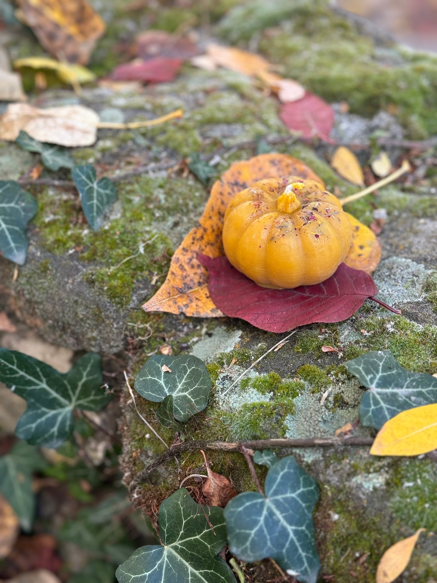 Beeswax Candle :: Pumpkin, Dried Flowers