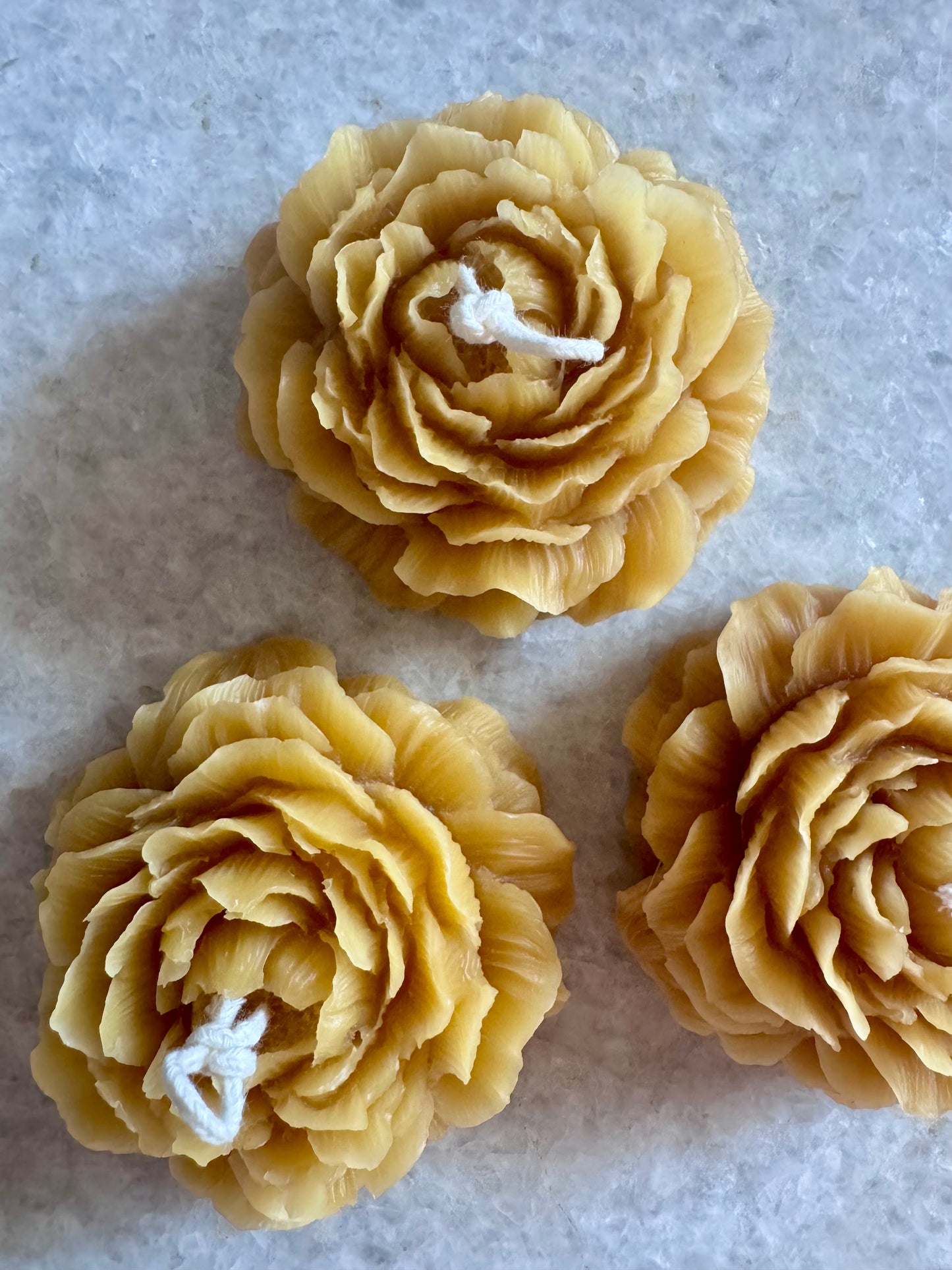 Beeswax Candle :: Peony Flower