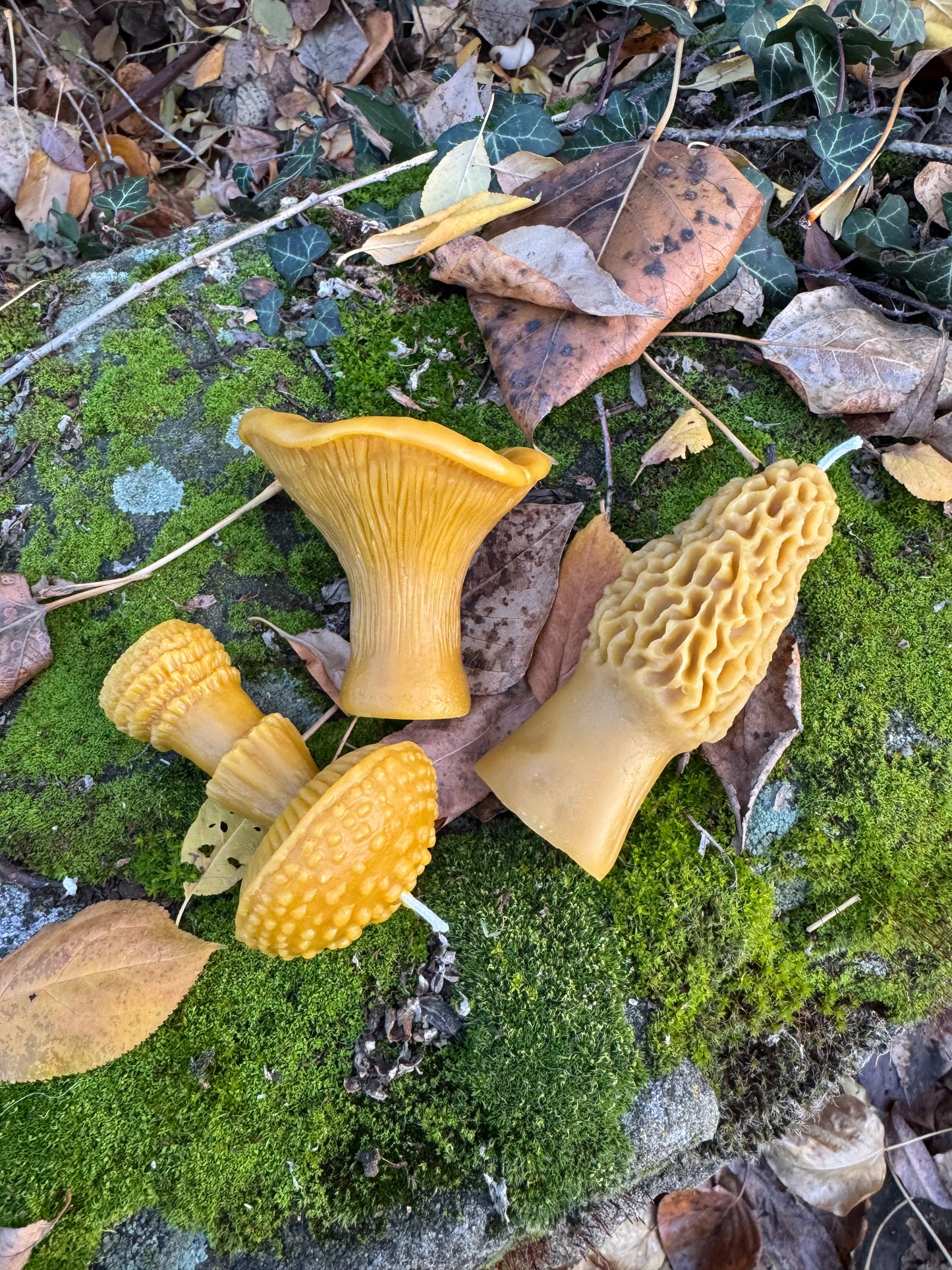 Beeswax Candle Bundle :: Mushroom Lover, Large