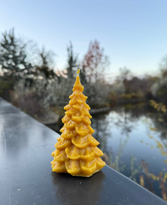 Beeswax Candle Mold : Pine Tree, Large