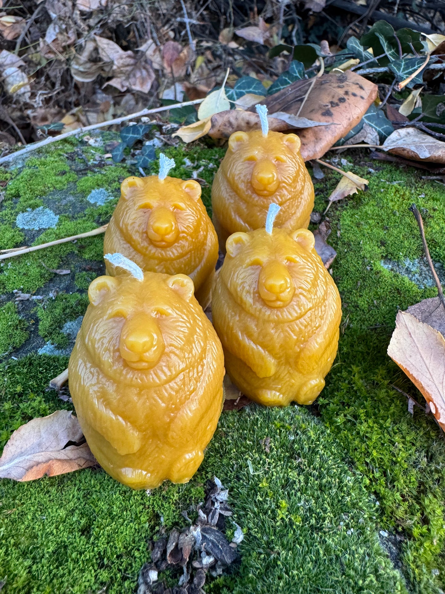 Beeswax Candle Bundle :: Bear Votives