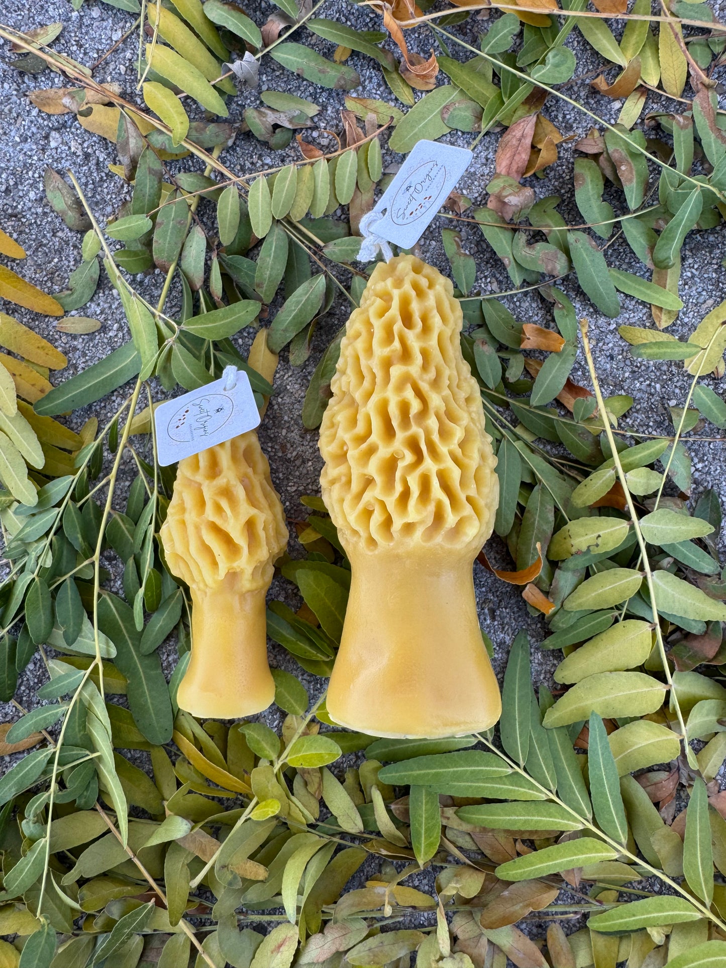 Beeswax Candle Bundle :: Large & Mini Morel Mushrooms