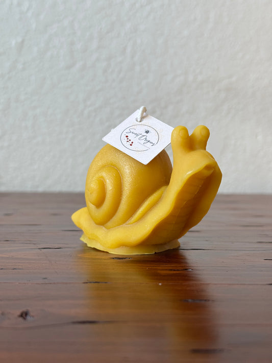 Beeswax Candle :: Snail