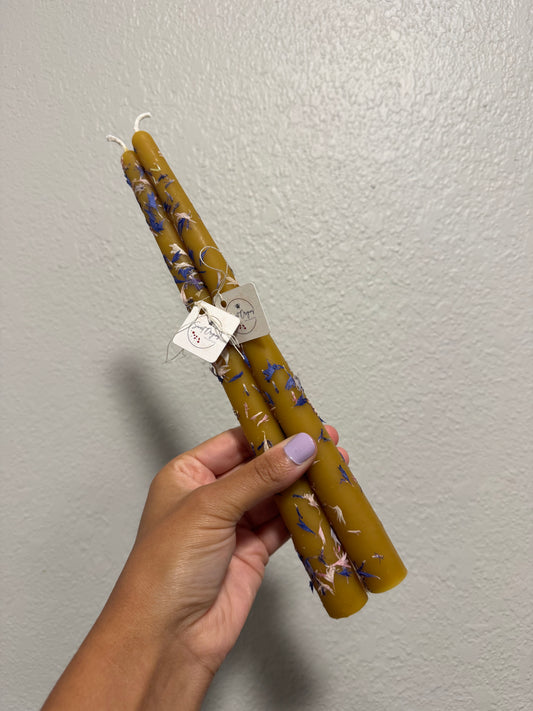 Beeswax Candle Bundle :: Taper 10”, Dried Blue Cornflower