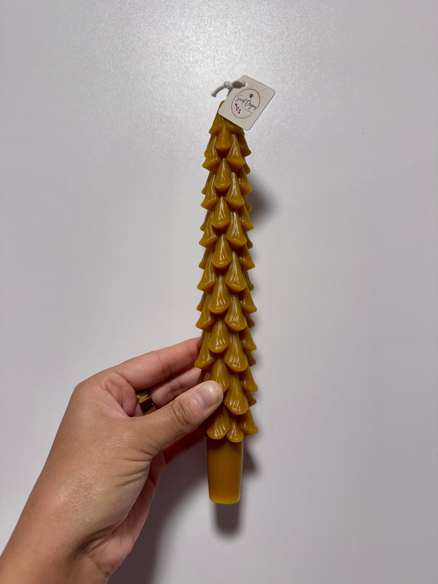 Beeswax Candle :: Pine Tree Taper