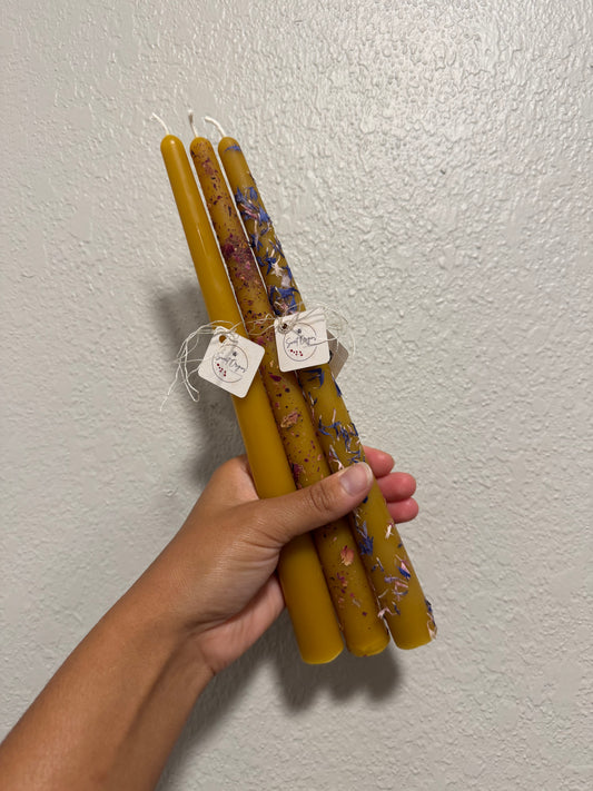 Beeswax Candle :: Taper 10”
