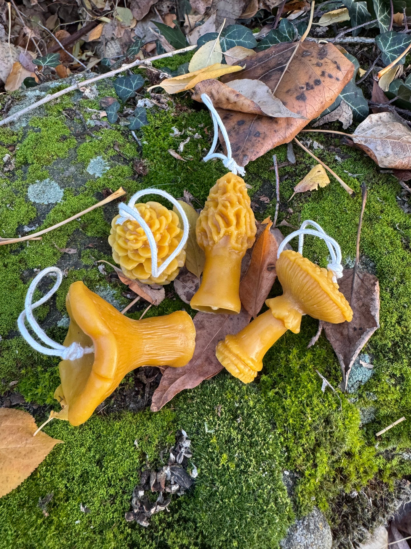 Beeswax Candle Bundle :: Ornaments