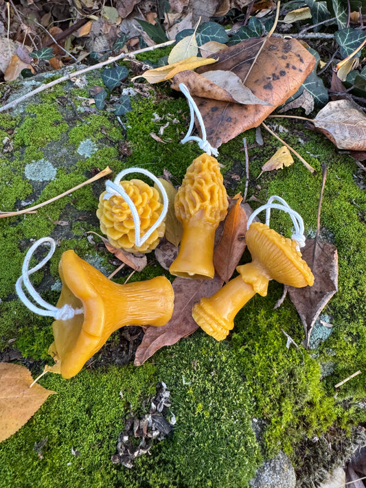 Beeswax Candle Bundle :: Ornaments