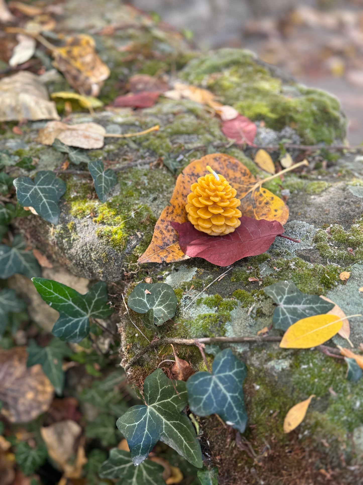 Beeswax Candle Mold : Pinecone