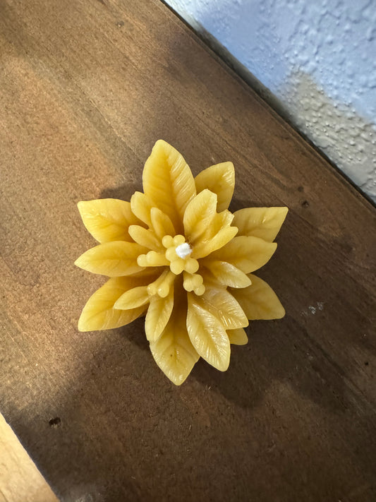 Beeswax Candle Mold : Poinsettia