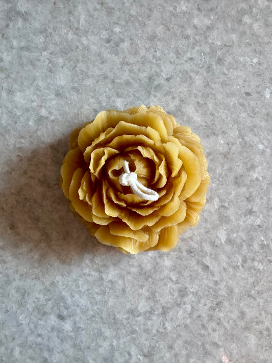 Beeswax Candle :: Peony Flower