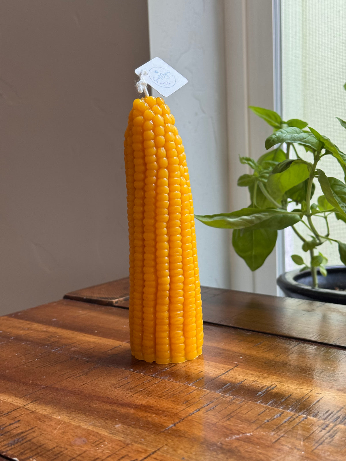 Beeswax Candle :: Corncob