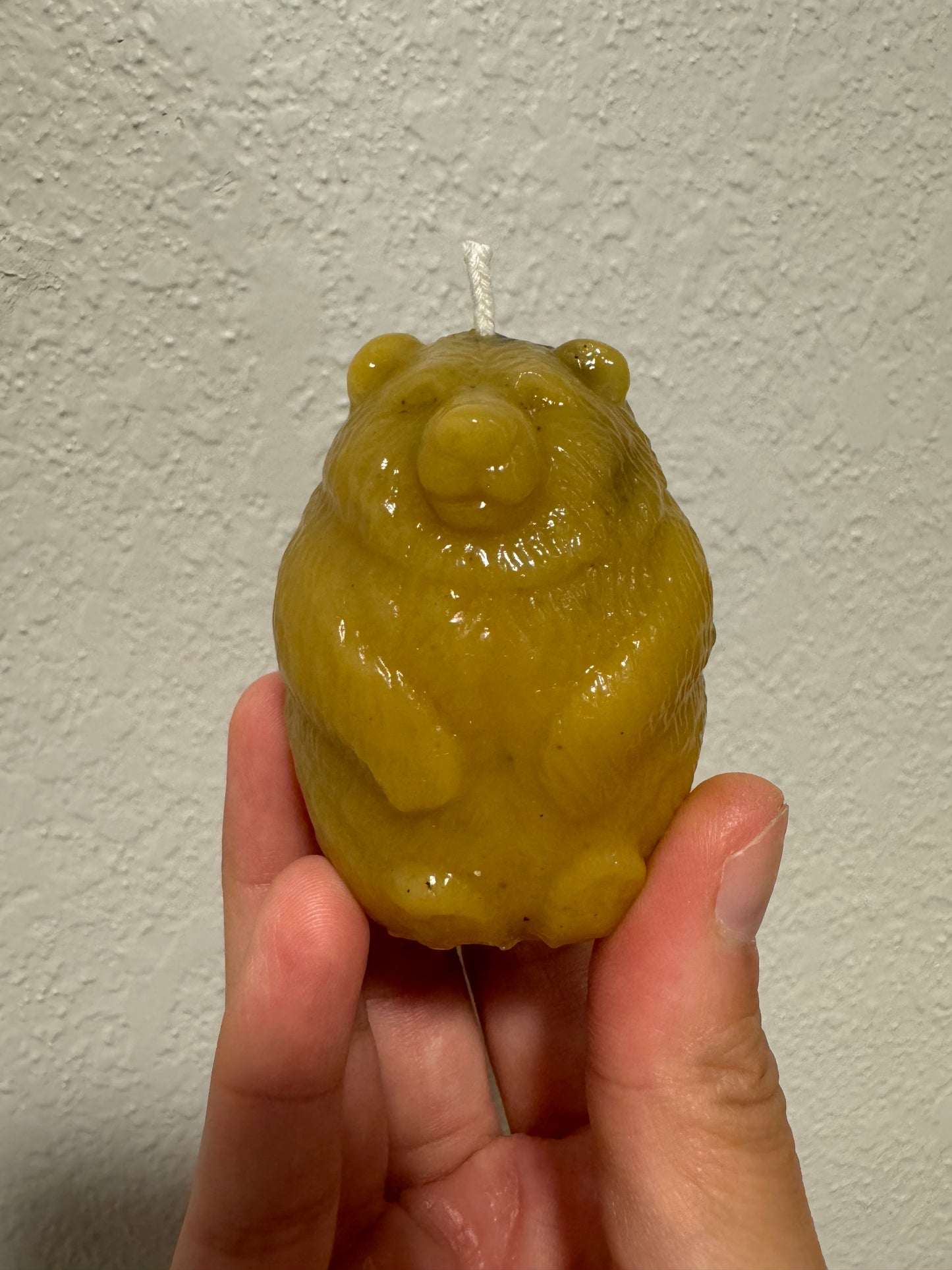 Beeswax Candle Mold : Bear