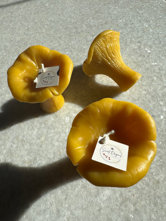 Beeswax Candle :: Chanterelle Mushroom, Large