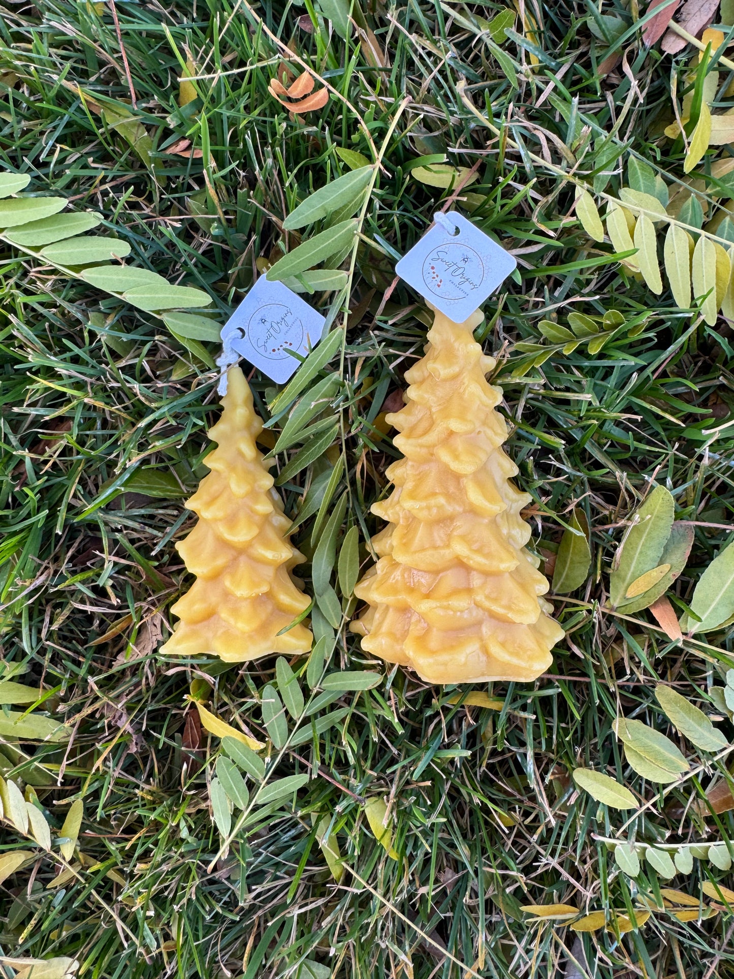 Beeswax Candle Bundle :: Large & Mini Evergreen Tree