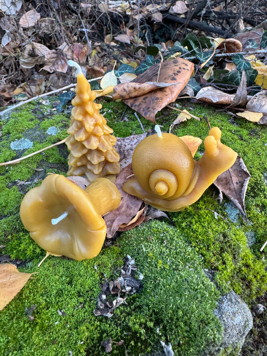 Beeswax Candle Bundle :: Nature Lover