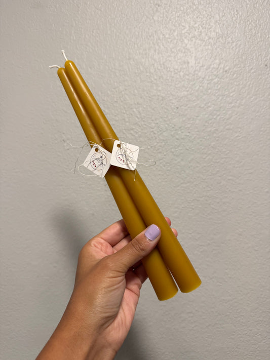 Beeswax Candle Bundle :: Taper 10", Simple