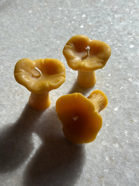 Beeswax Candle :: Chanterelle Mushroom, Mini