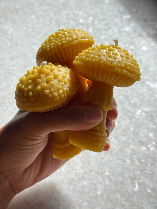 Beeswax Candle :: Amanita Mushroom, Large