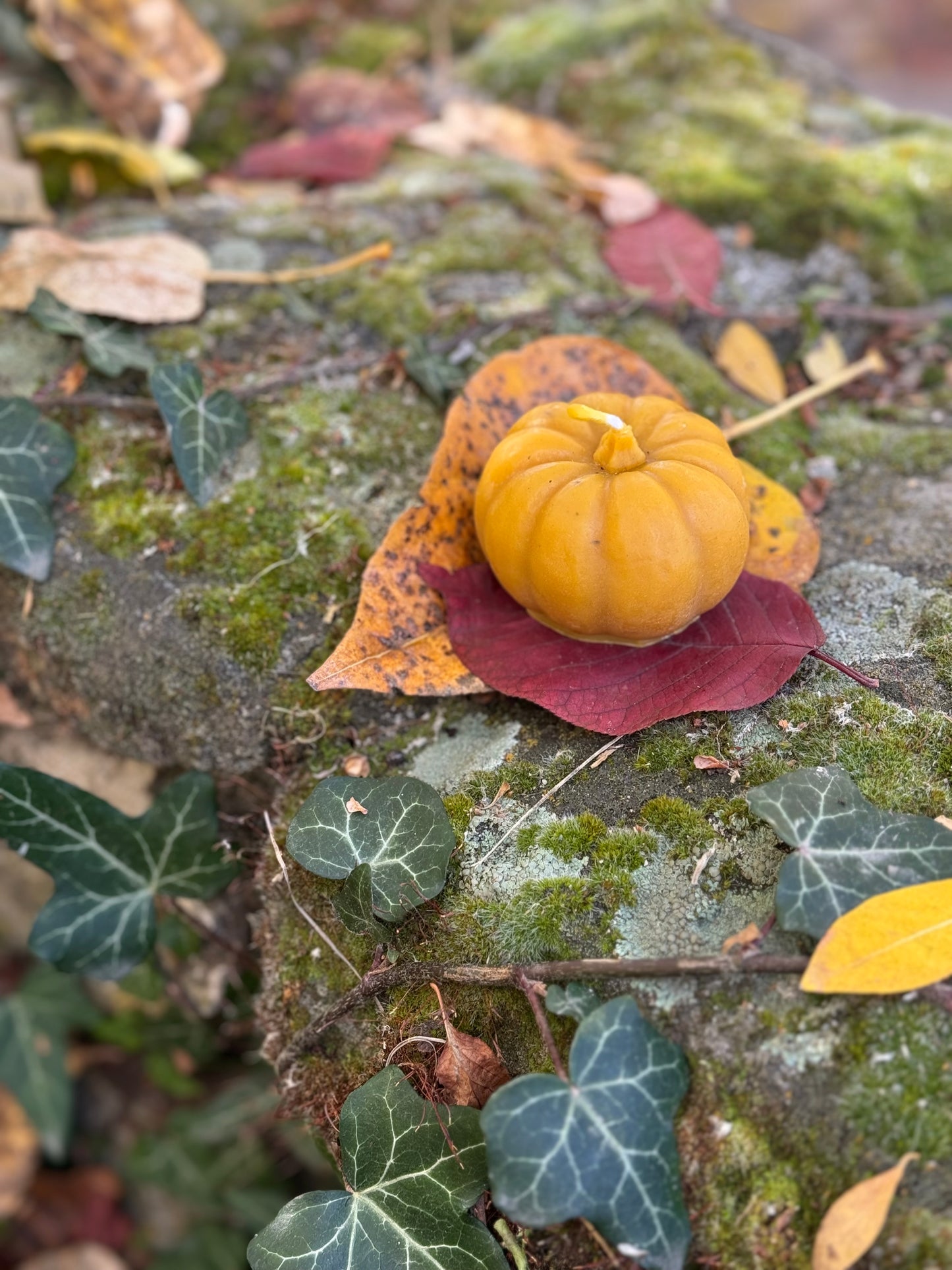 Beeswax Candle Mold : Pumpkin