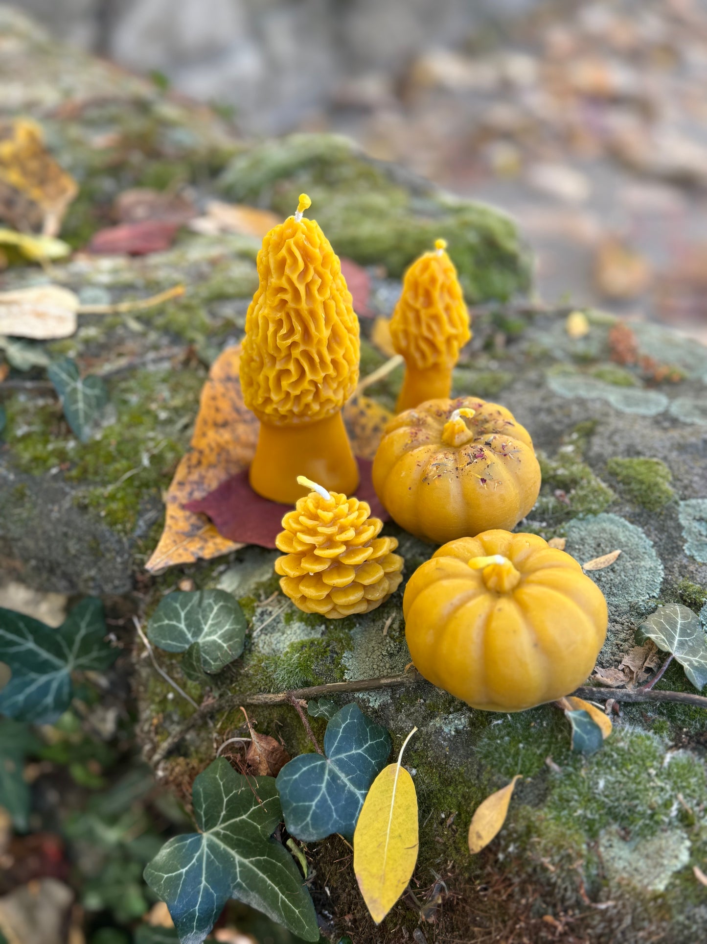 Beeswax Candle Mold : Morel, Mini