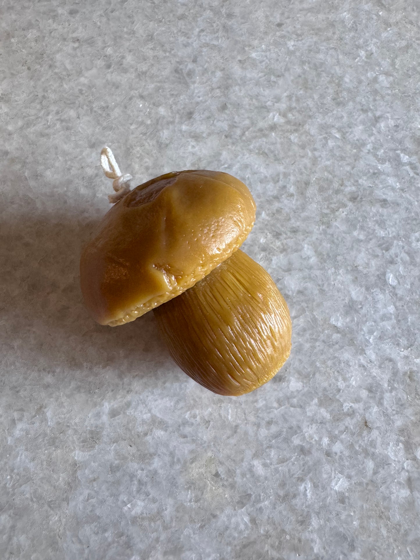 Beeswax Candle :: Penny Bun Mushroom