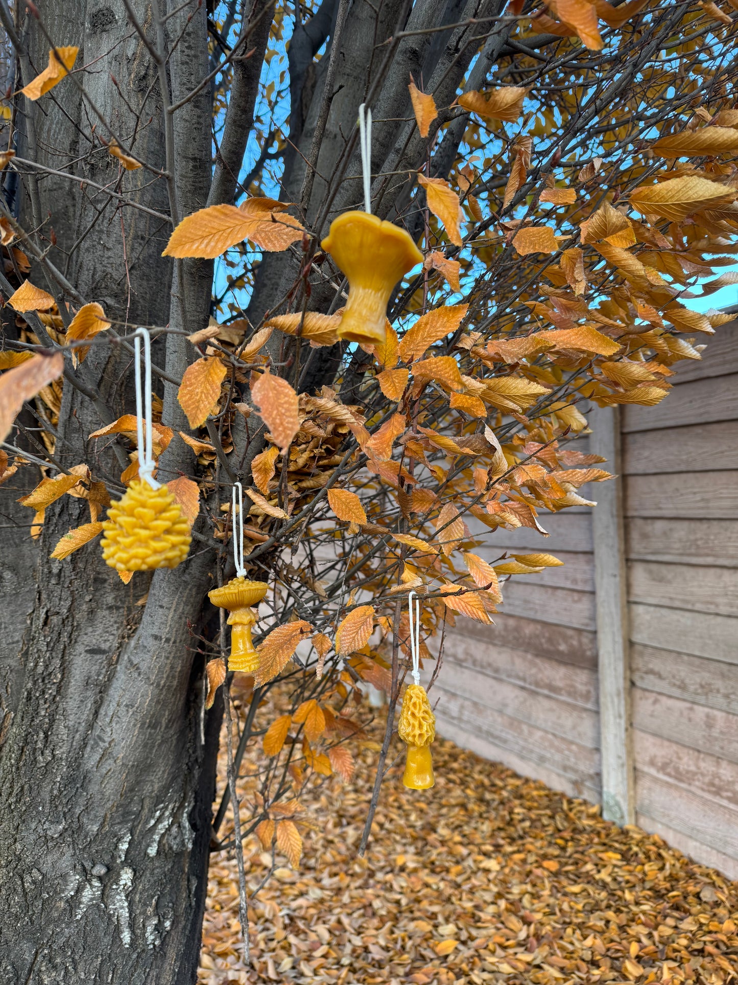 Beeswax Candle Bundle :: Ornaments